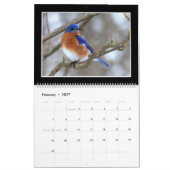 Birds maandrooster 2018 van Thomas Minutolo Kalender (Feb 2027)