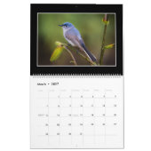 Birds maandrooster 2018 van Thomas Minutolo Kalender (Mar 2027)