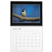 Birds maandrooster 2018 van Thomas Minutolo Kalender (Jan 2027)