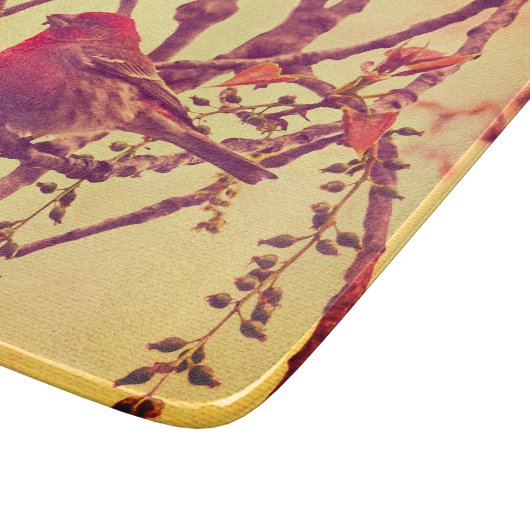 Birds Nature Bird Purple Finch Snijplank (Hoek)