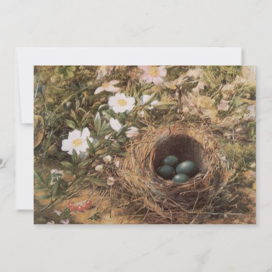 Bird's Nest and Dog Rozen van John William Hill (Voorkant)