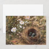 Bird's Nest and Dog Rozen van John William Hill (Voorkant / Achterkant)