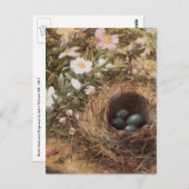 Bird's Nest and Dog Rozen van John William Hill Briefkaart (Voorkant / Achterkant)