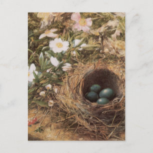 Bird's Nest and Dog Rozen van John William Hill Briefkaart