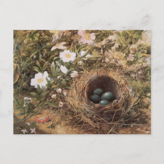 Bird's Nest and Dog Rozen van John William Hill Briefkaart (Voorkant)