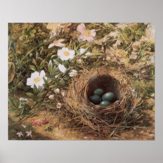 Bird's Nest and Dog Rozen van John William Hill Poster (Voorkant)
