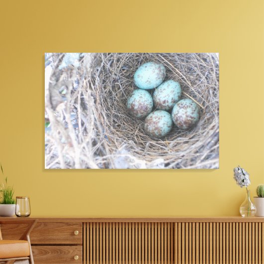Bird's Nest Blue Eggs Natuur Fotografie Canvas (Insitu (Woonkamer))