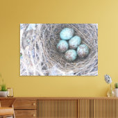 Bird's Nest Blue Eggs Natuur Fotografie Canvas Afdruk (Insitu (Woonkamer))
