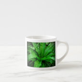 Bird's Nest Fern Espresso Kop (Rechts)
