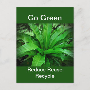 Bird's Nest Fern - Go Green Briefkaart