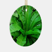Bird's Nest Fern Keramisch Ornament (Rechts)