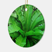 Bird's Nest Fern Keramisch Ornament (Links)