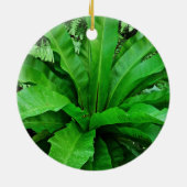 Bird's Nest Fern Keramisch Ornament (Achterkant)