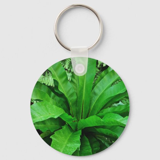 Bird's Nest Fern Sleutelhanger (Voorkant)