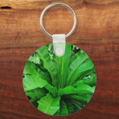 Bird's Nest Fern Sleutelhanger (Voorkant)