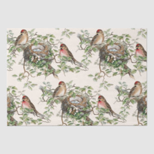 Birds Nest Leaves  Redpoll Songbird Ivory Tissuepapier