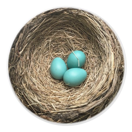 Birds Nest with Blue Eggs Keramische Knop (Voorkant)