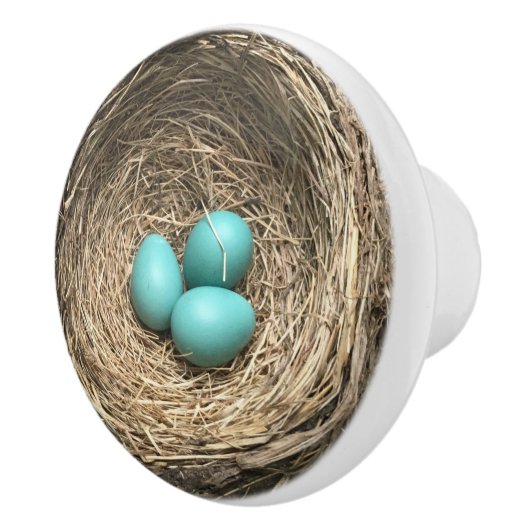 Birds Nest with Blue Eggs Keramische Knop (Rechts)