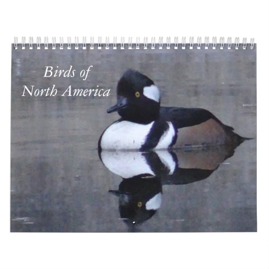 Birds Noord-Amerikaanse kalender (Hoes)