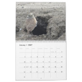 Birds Noord-Amerikaanse kalender (Jan 2027)