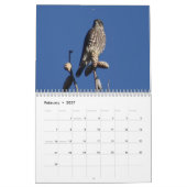Birds Noord-Amerikaanse kalender (Feb 2027)