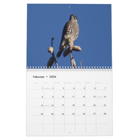 Birds Noord-Amerikaanse kalender (Feb 2026)