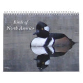 Birds Noord-Amerikaanse kalender (Hoes)