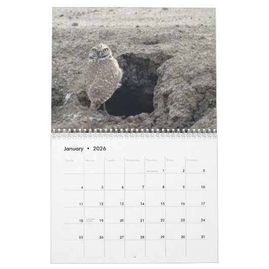 Birds Noord-Amerikaanse kalender (Jan 2026)