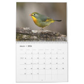 Birds Noord-India kalender (Mar 2026)