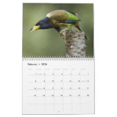 Birds Noord-India kalender (Feb 2026)