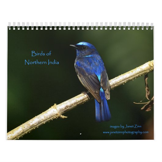 Birds Noord-India kalender (Hoes)