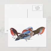 Birds of a feather 2011 briefkaart (Voorkant / Achterkant)