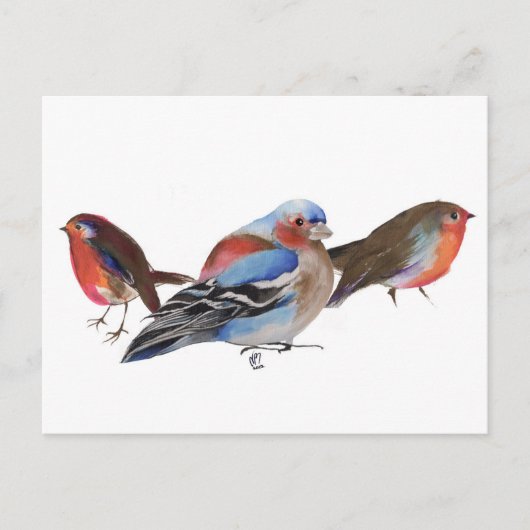 Birds of a feather 2011 briefkaart (Voorkant)