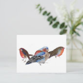 Birds of a feather 2011 briefkaart (Staand voorkant)
