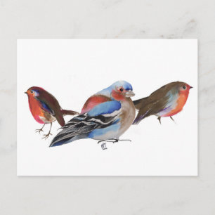 Birds of a feather 2011 briefkaart