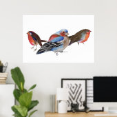 Birds of a feather 2011 poster (Thuiskantoor)