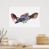 Birds of a feather 2011 poster (Keuken)