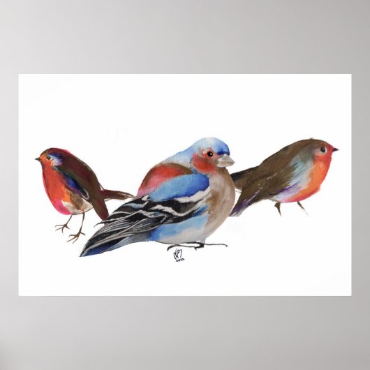 Birds of a feather 2011 poster (Voorkant)