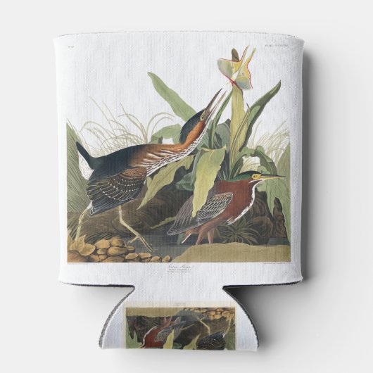 Birds of America (1827) by John James Audubon Blikjeskoeler (Achterkant)