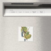 Birds of America (1827) by John James Audubon Magneet (Insitu (Vaatwasser))