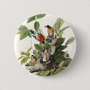 Birds of America (1827) by John James Audubon Ronde Button 5,7 Cm