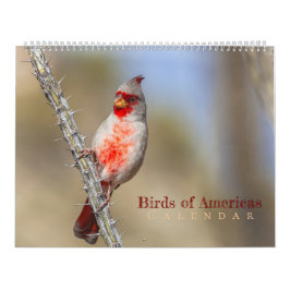 Birds of Americas Kalender