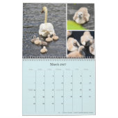 "Birds of Boston" kalender 2021 (Mar 2027)