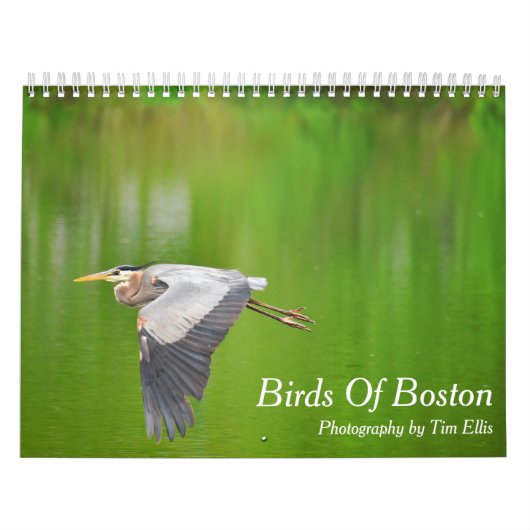 "Birds of Boston" kalender 2021 (Hoes)
