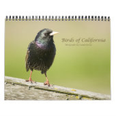 Birds of California 2010 Calendar Kalender (Hoes)