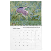 Birds of Hawaii - Kalender 2023 (Mar 2027)