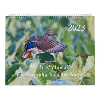 Birds of Hawaii - Kalender 2023