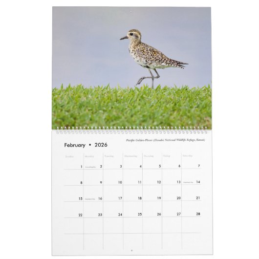 Birds of Hawaii - Kalender 2023 (Feb 2026)