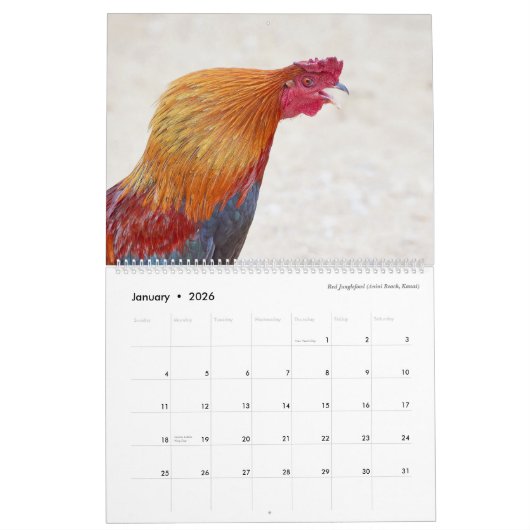 Birds of Hawaii - Kalender 2023 (Jan 2026)