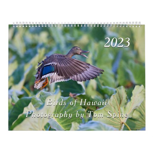Birds of Hawaii - Kalender 2023 (Hoes)